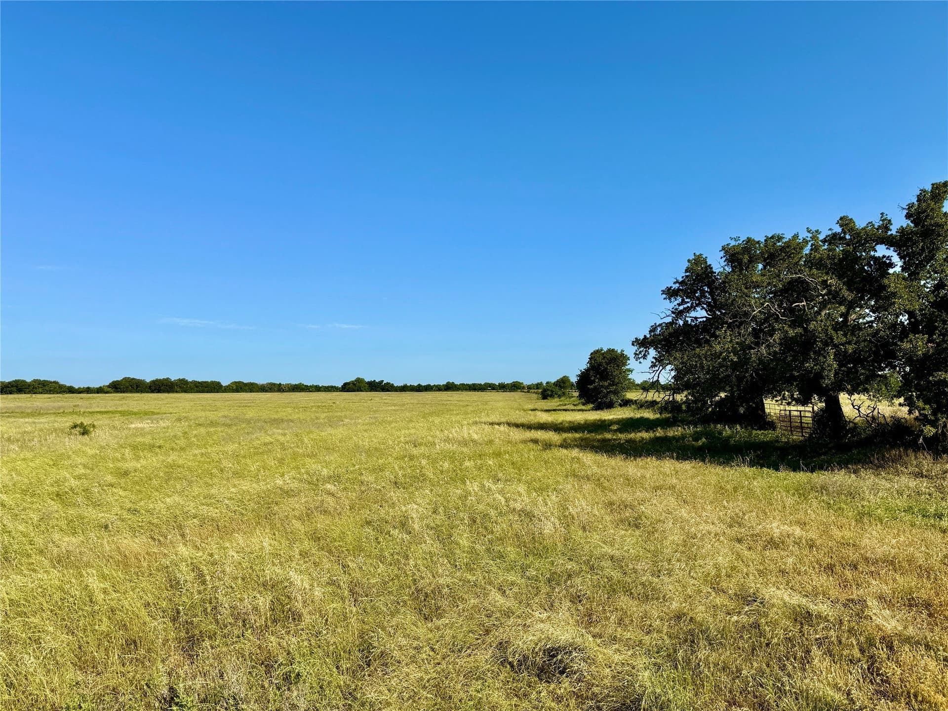 275.73 acres in Erath County gallery image 2