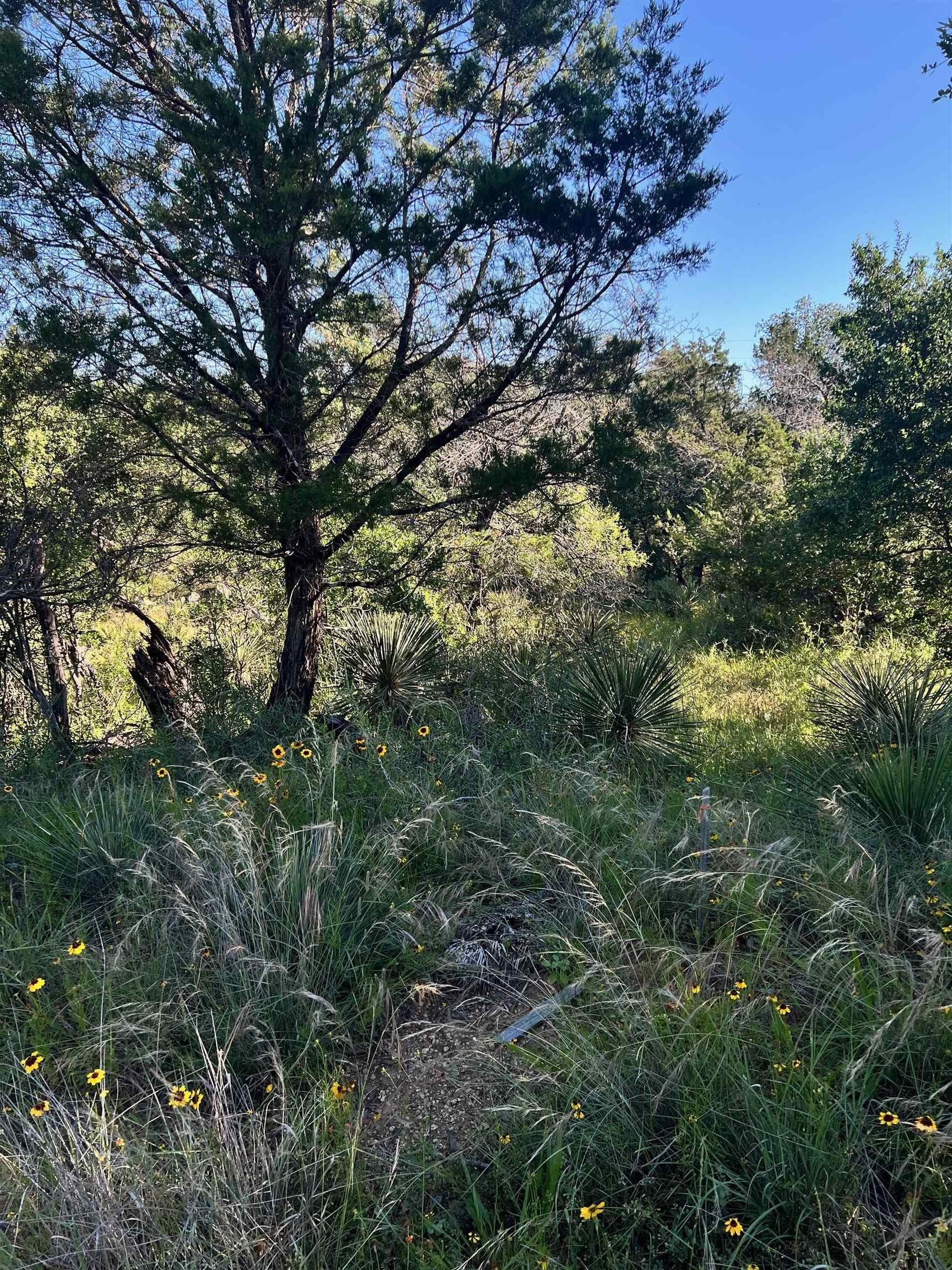 0.11 acres in Burnet County gallery image 3