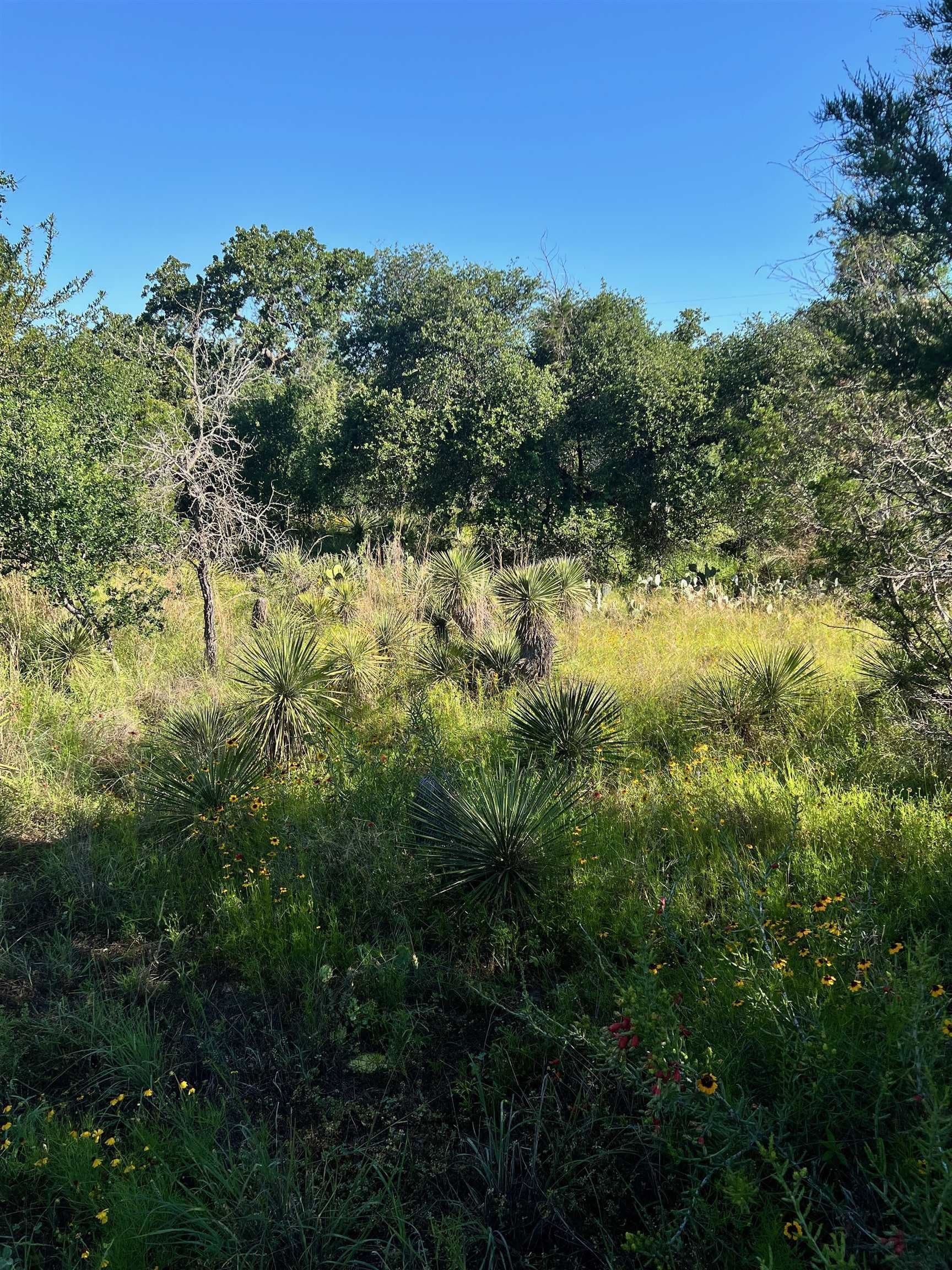 0.11 acres in Burnet County