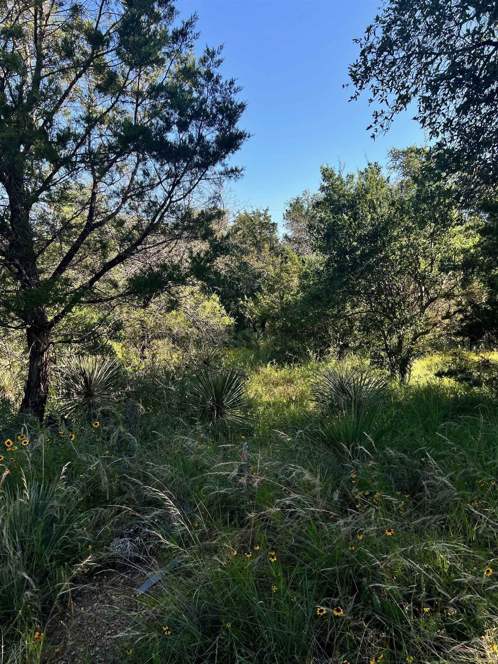 0.11 acres in Burnet County gallery image 4