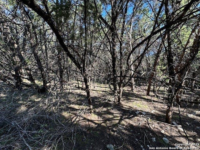 2.68 acres in Comal County - photo 28
