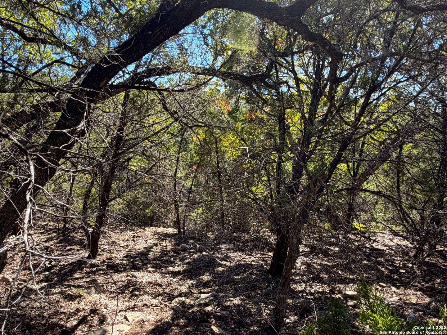 2.68 acres in Comal County - photo 14