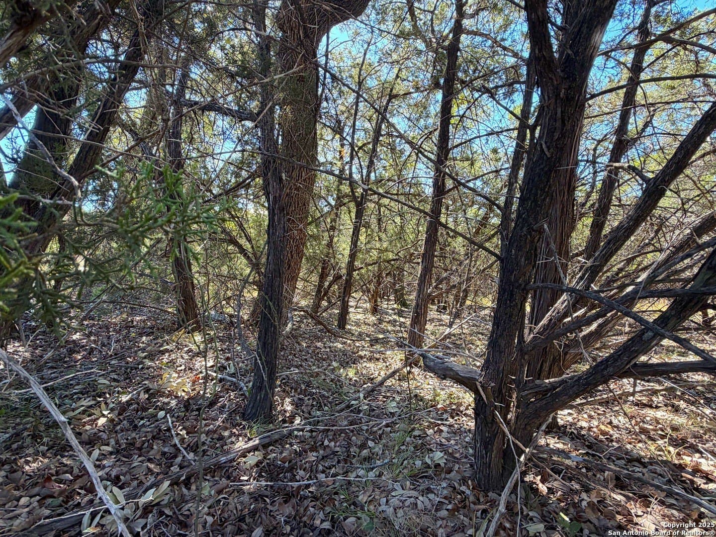 2.68 acres in Comal County - photo 20