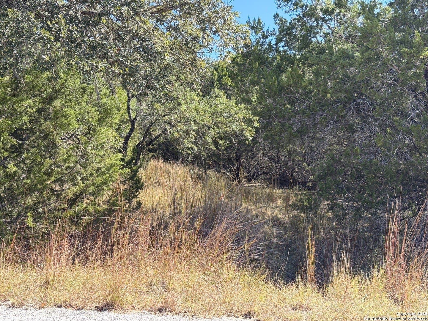2.68 acres in Comal County - photo 11