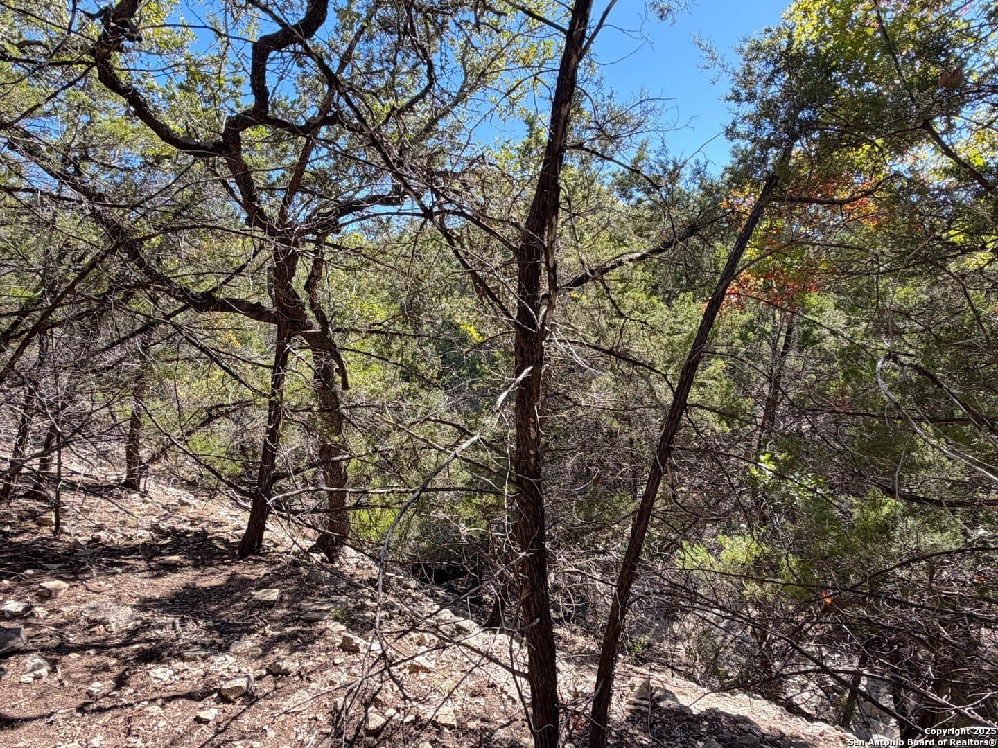 2.68 acres in Comal County - photo 16