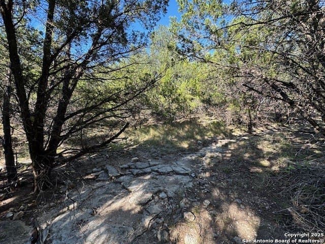 2.68 acres in Comal County - photo 27