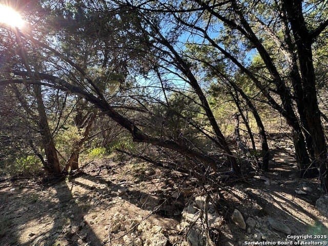 2.68 acres in Comal County - photo 26