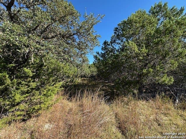 2.68 acres in Comal County - photo 22
