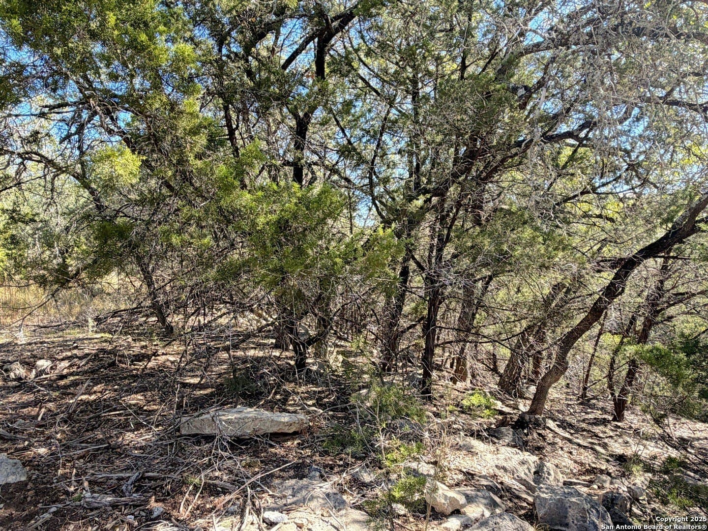 2.68 acres in Comal County - photo 12