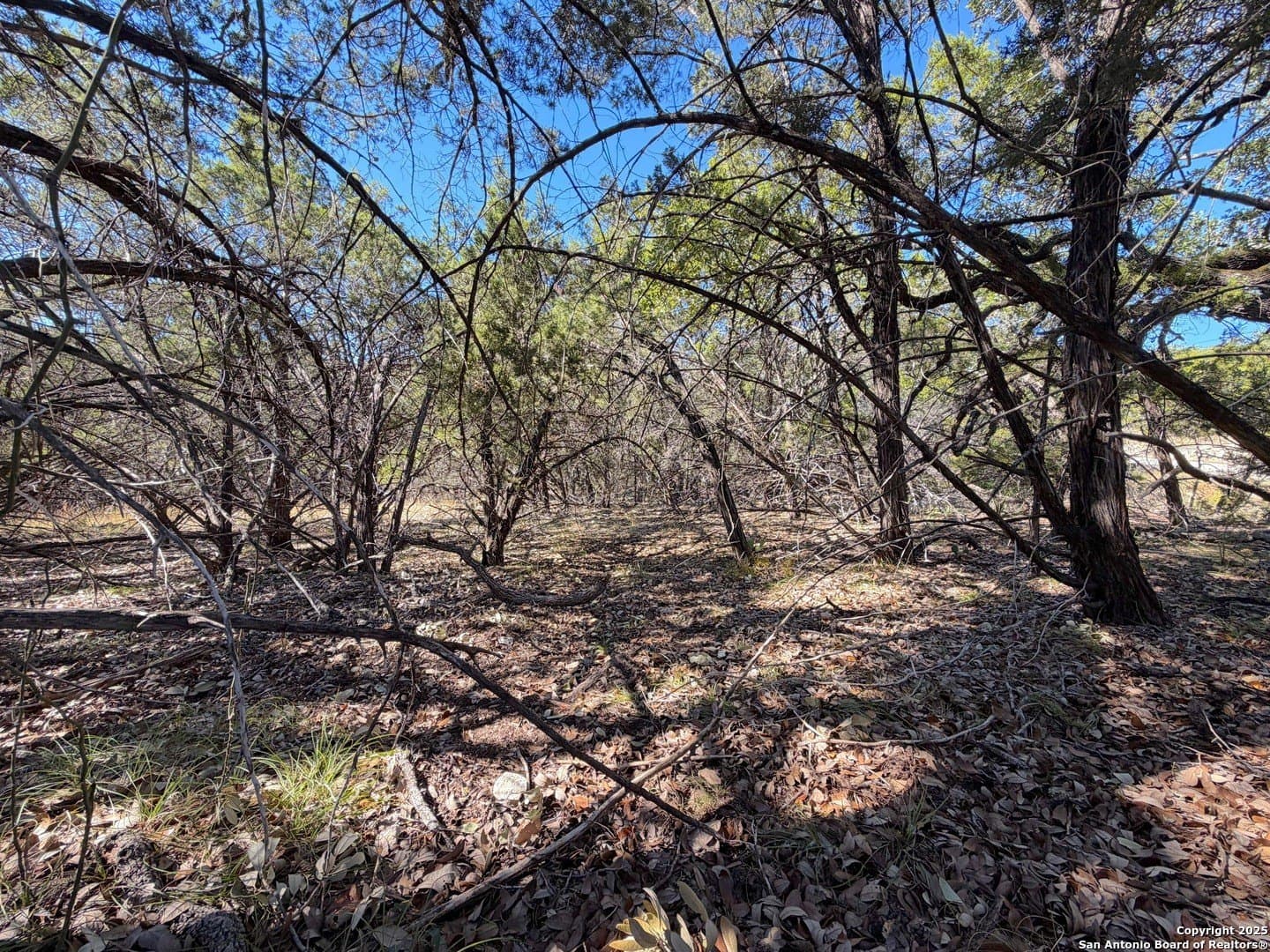 2.68 acres in Comal County - photo 19