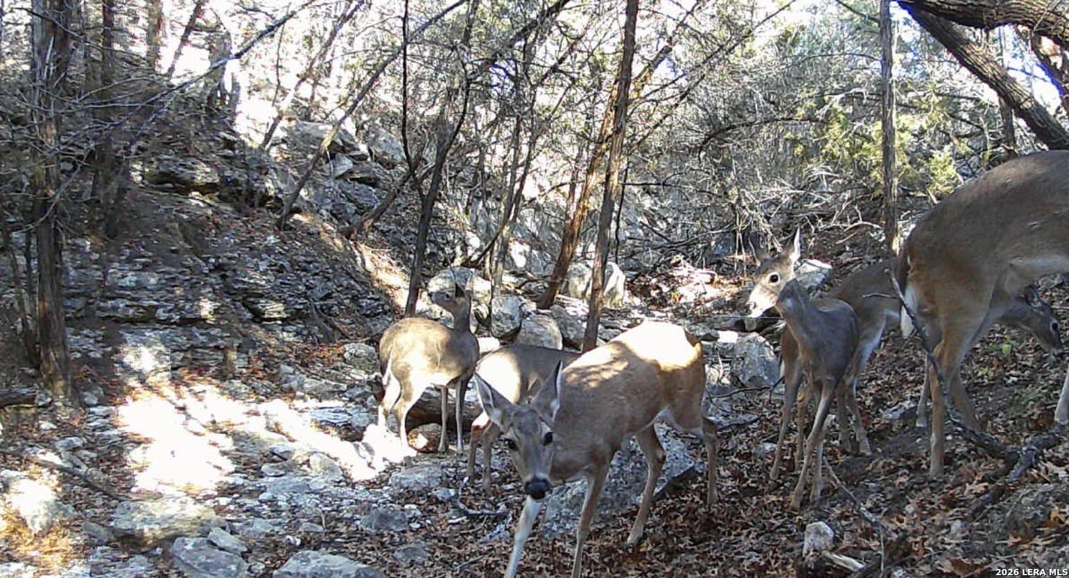 2.68 acres in Comal County - photo 7