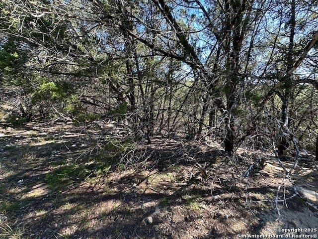 2.68 acres in Comal County - photo 25