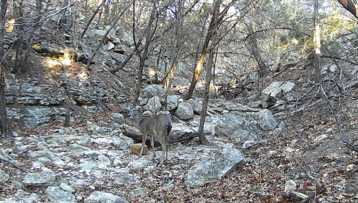 2.68 acres in Comal County - photo 8