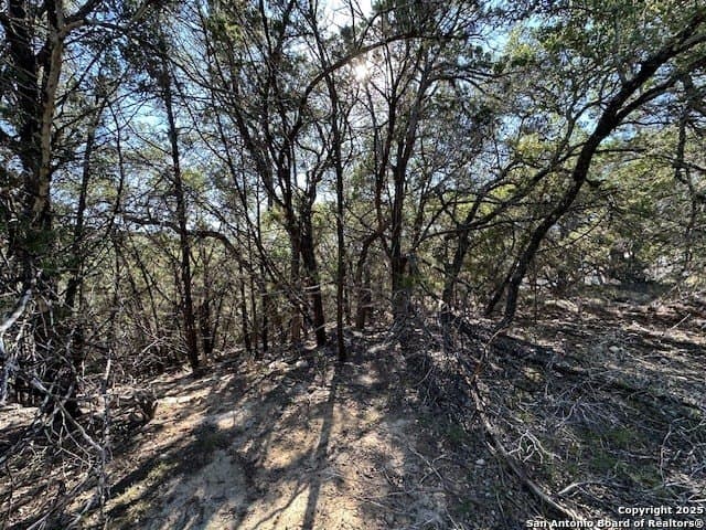 2.68 acres in Comal County - photo 24