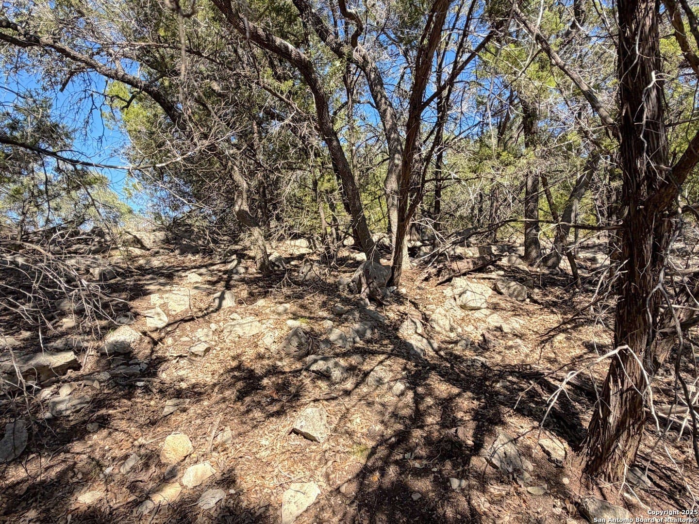 2.68 acres in Comal County - photo 17