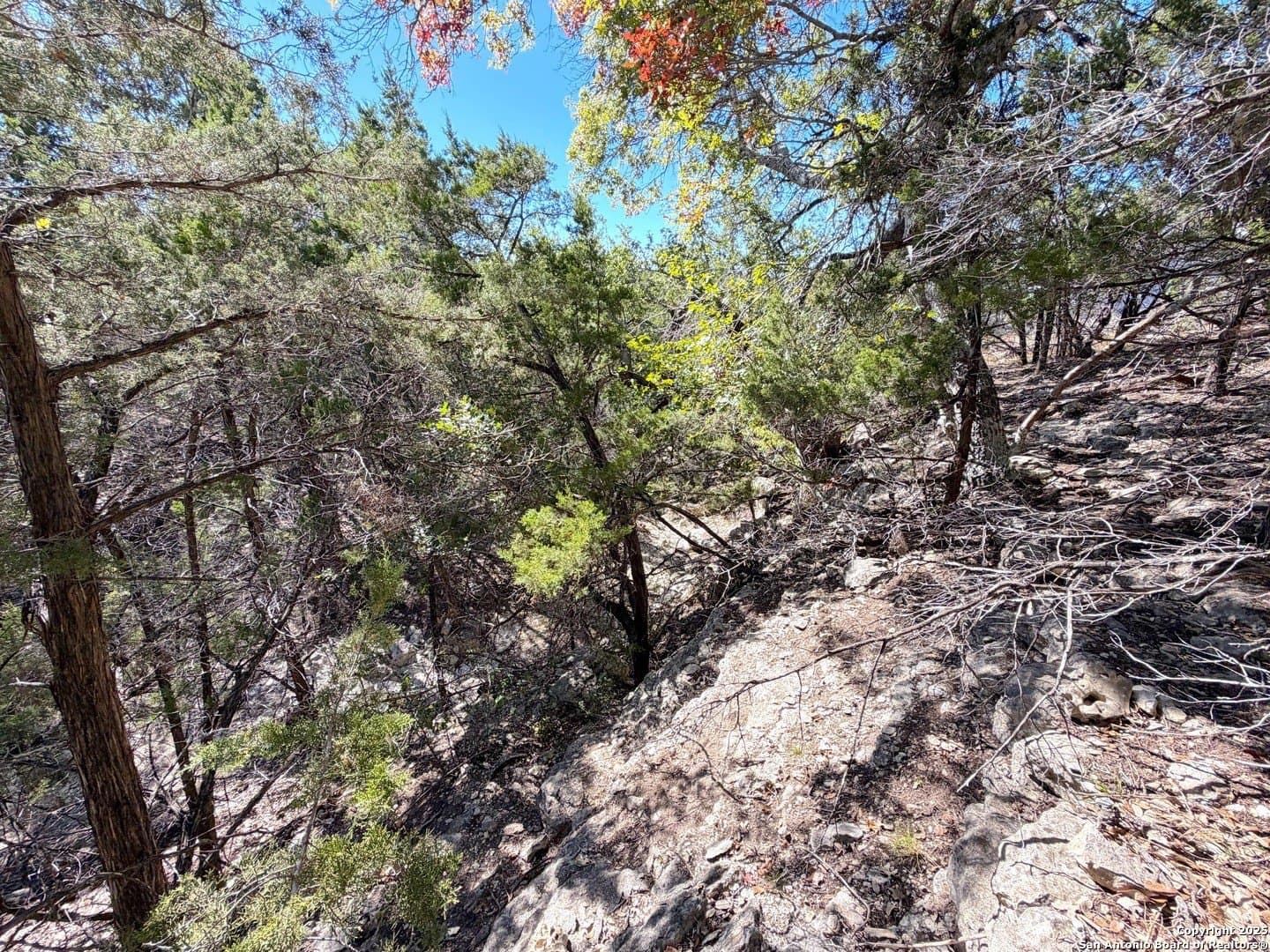 2.68 acres in Comal County - photo 18