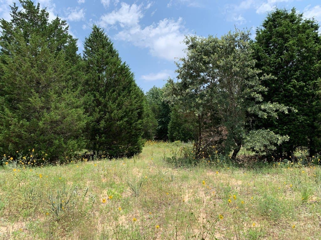 148.72 acres in HENDERSON County - photo 6