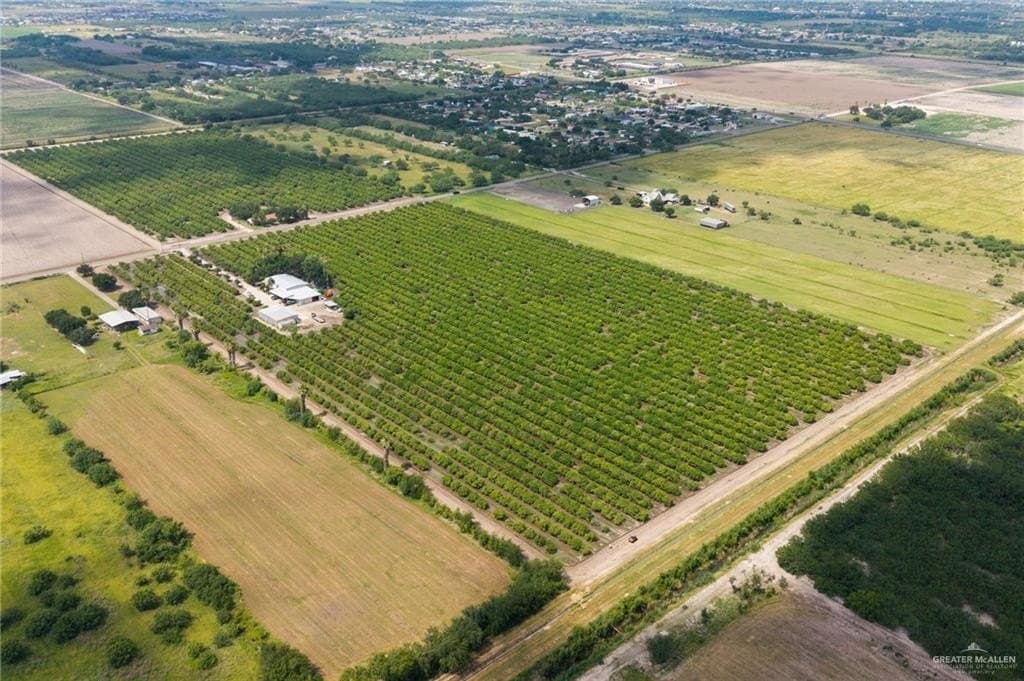 10.5 acres in Hidalgo County gallery image 3