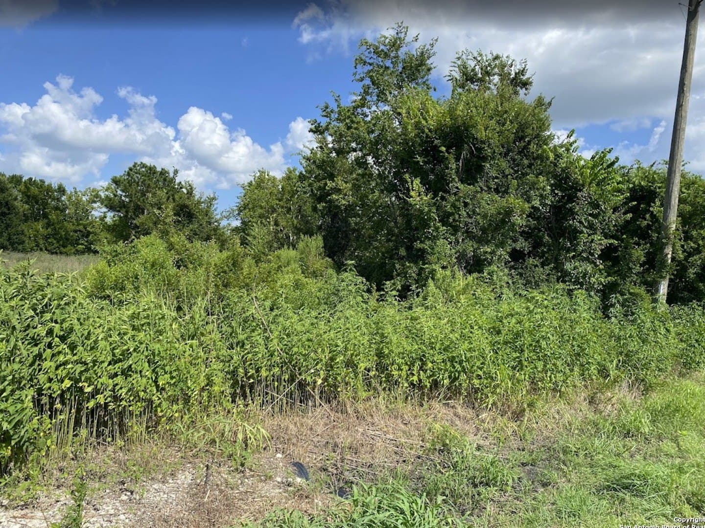 2.69 acres in Fort Bend County gallery image 4