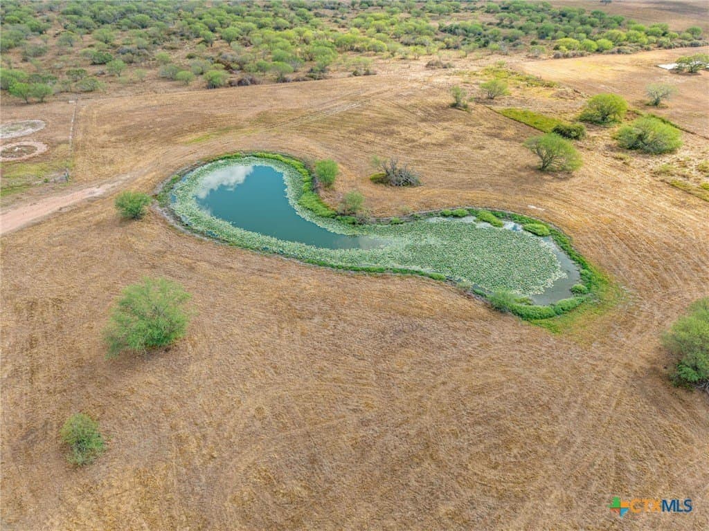 36.65 acres in Victoria County - photo 4