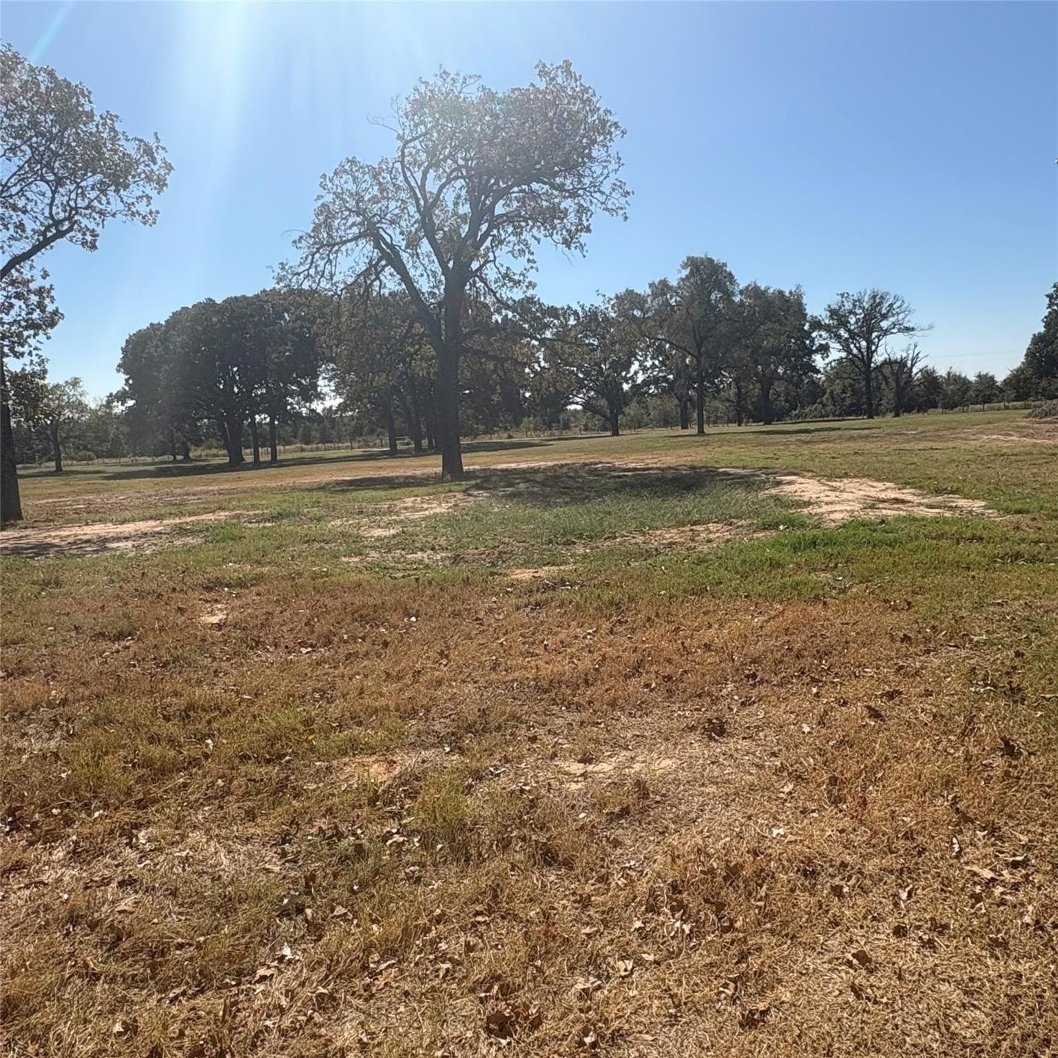 10.68 acres in Wood County - photo 12