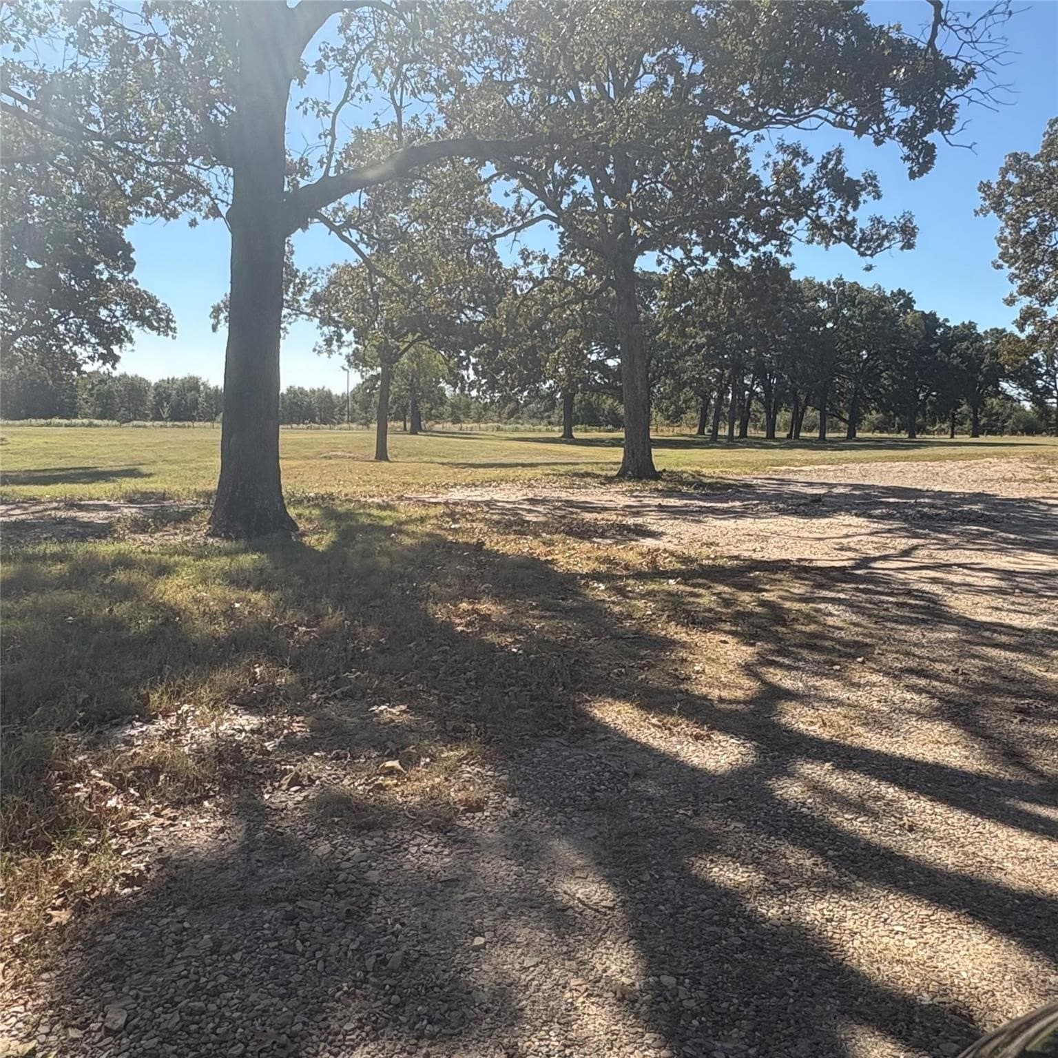 10.68 acres in Wood County - photo 15