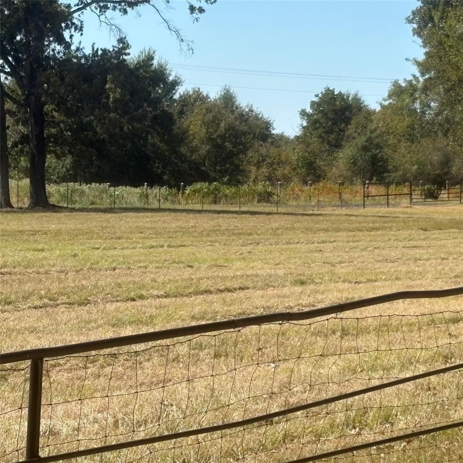 10.68 acres in Wood County - photo 21