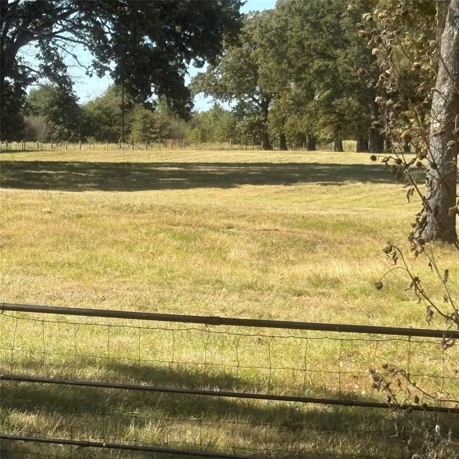 10.68 acres in Wood County - photo 25