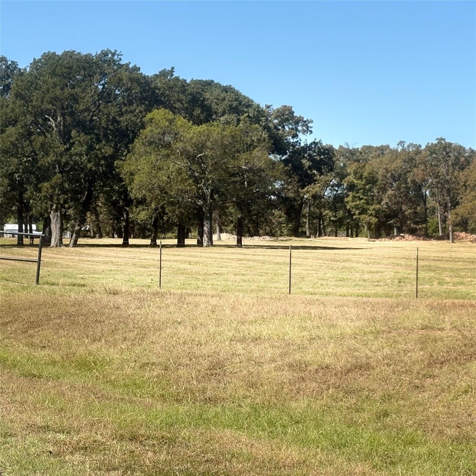 10.68 acres in Wood County - photo 8