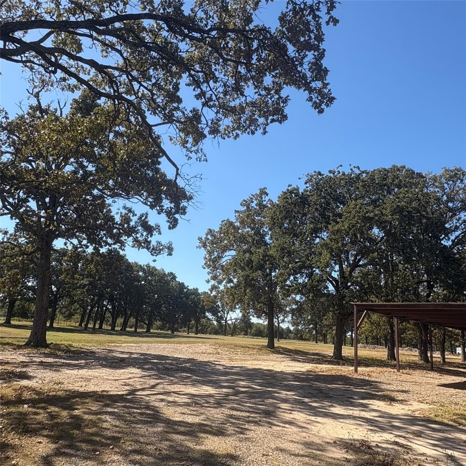 10.68 acres in Wood County - photo 29