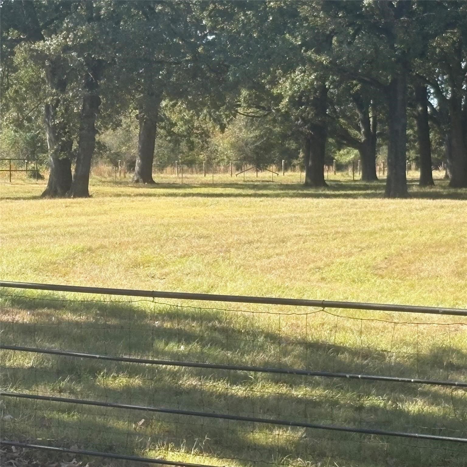 10.68 acres in Wood County - photo 24