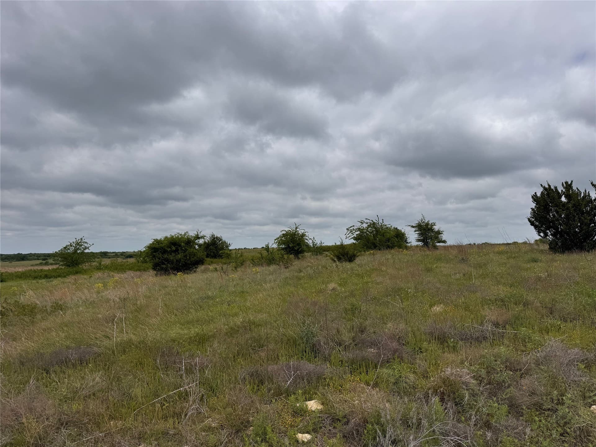 1.82 acres in Hood County gallery image 4