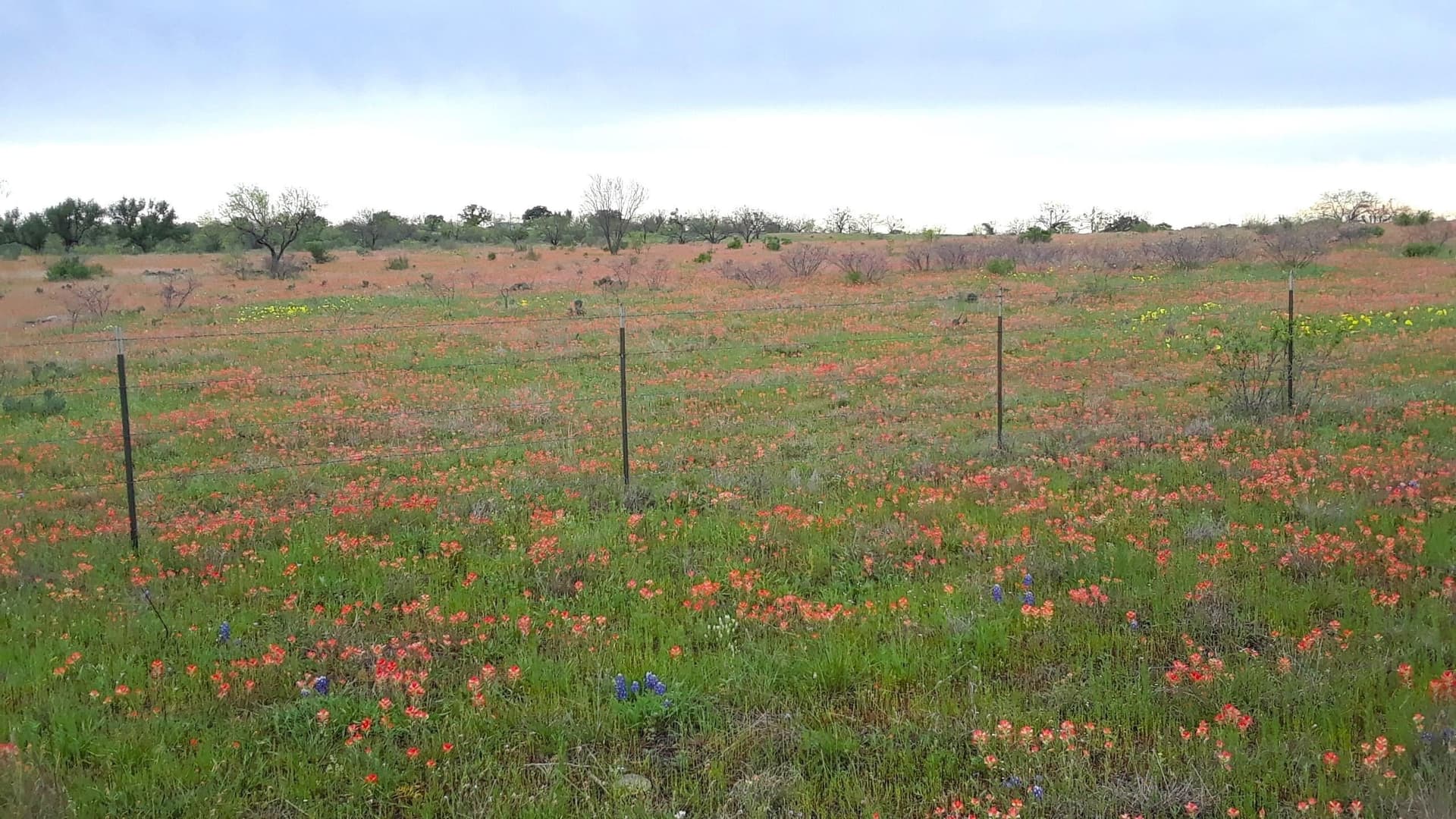 35 acres in Llano County - photo 21