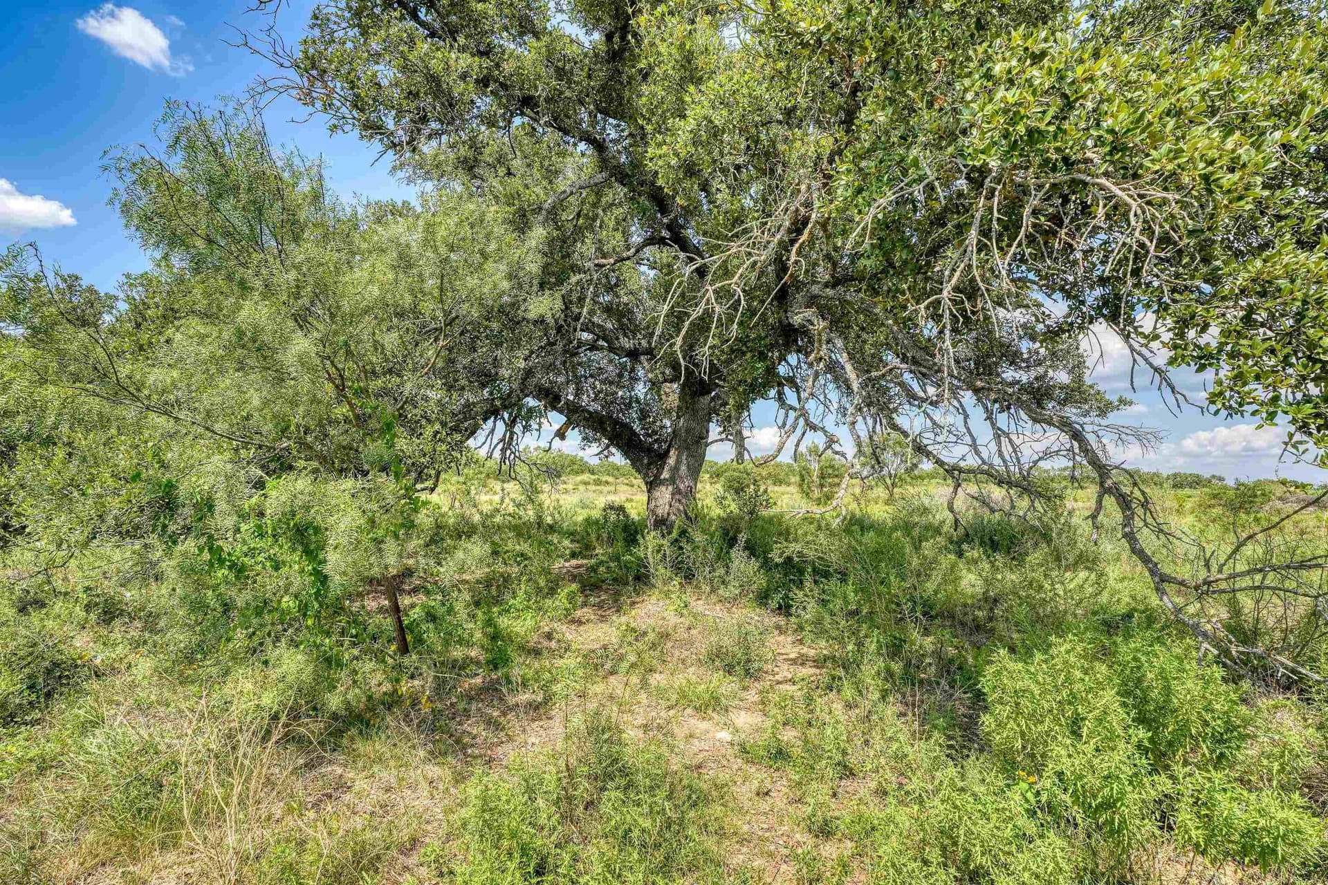 35 acres in Llano County - photo 6
