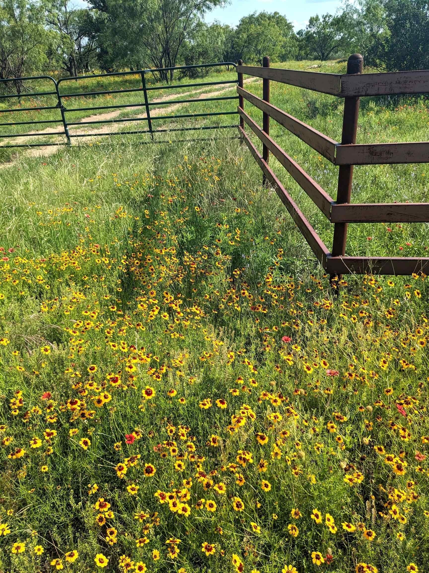 35 acres in Llano County - photo 26