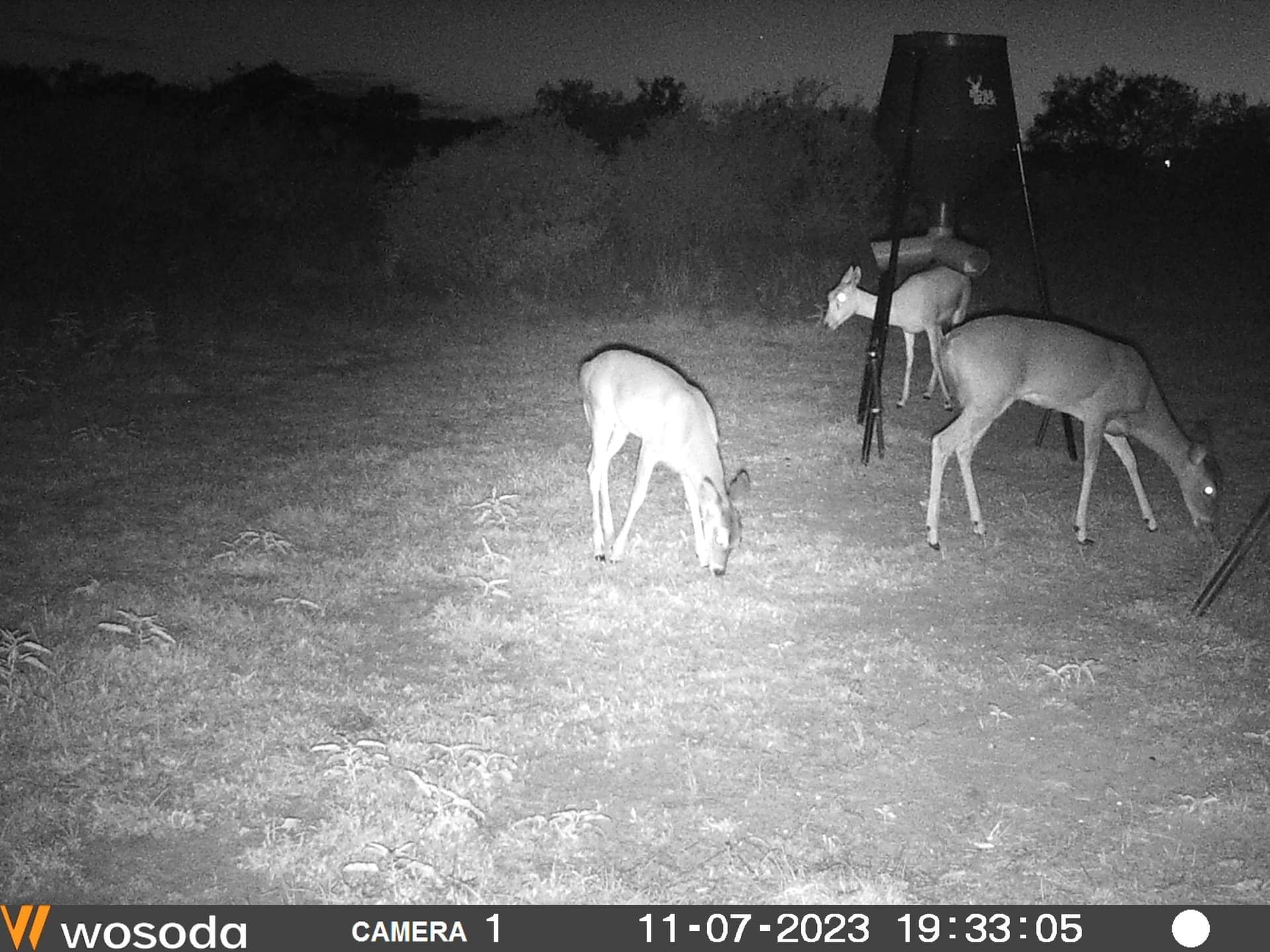 35 acres in Llano County - photo 9