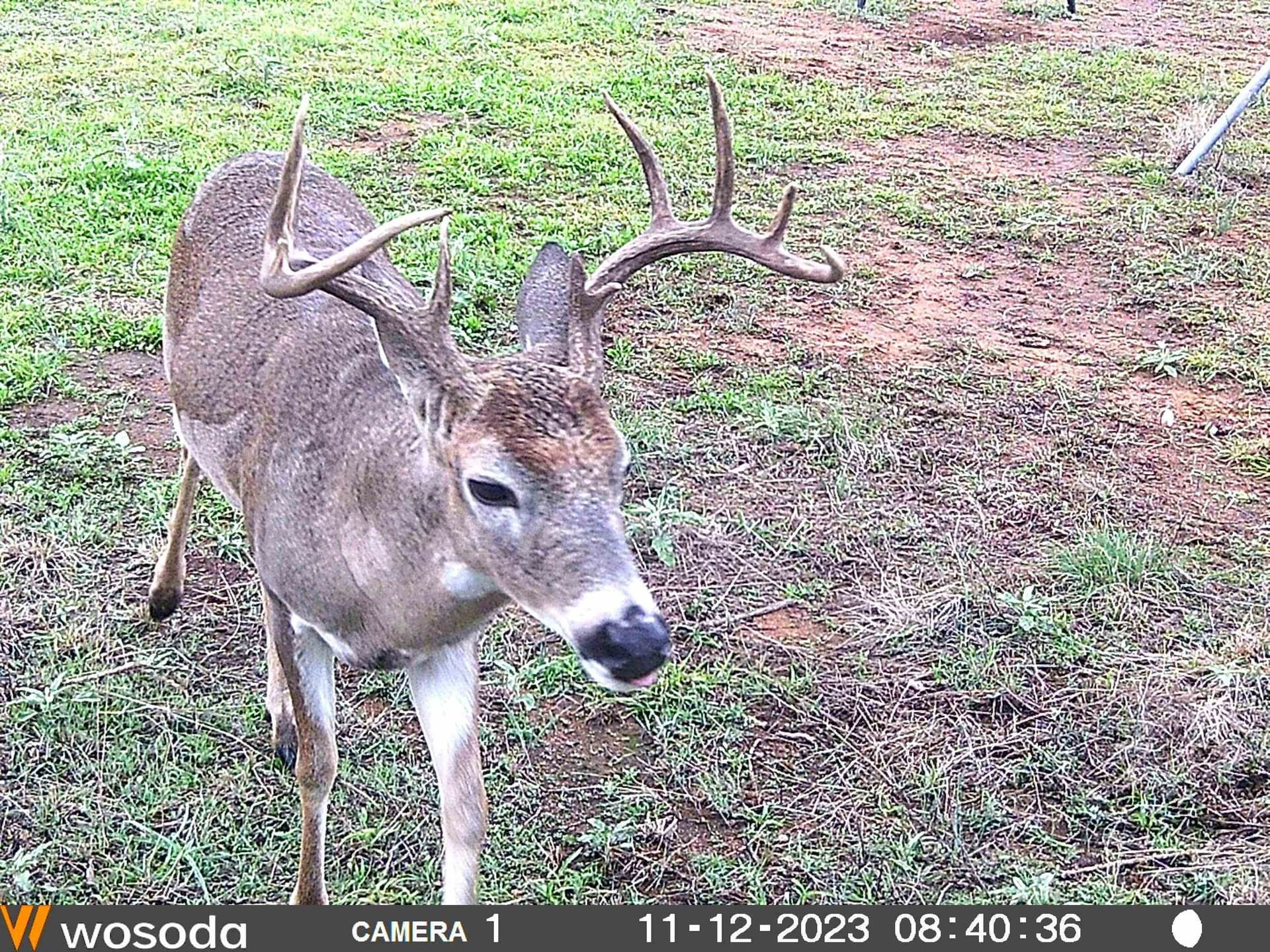 35 acres in Llano County - photo 10