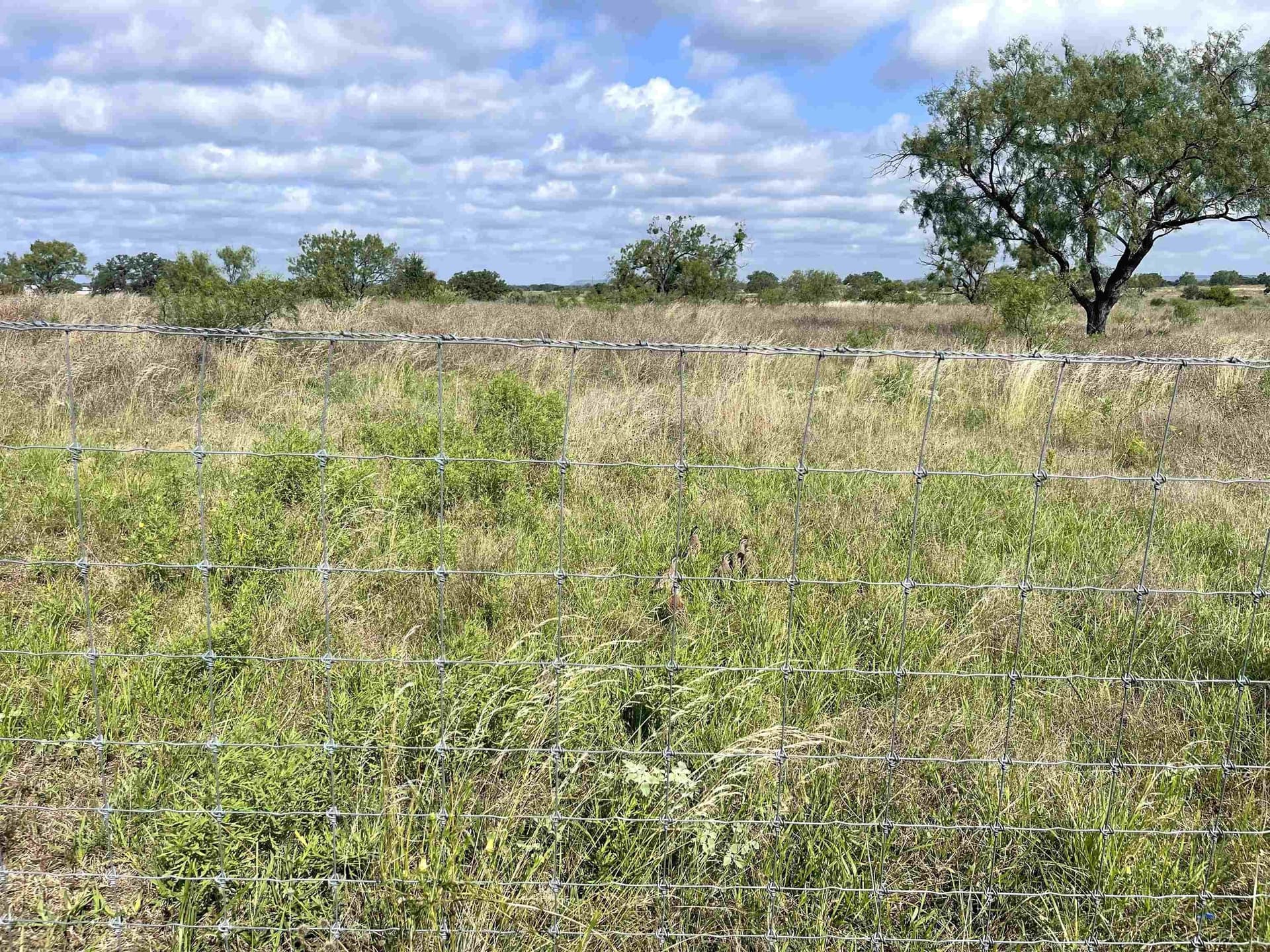 35 acres in Llano County - photo 14