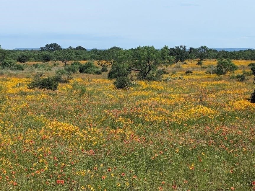 35 acres in Llano County - photo 16