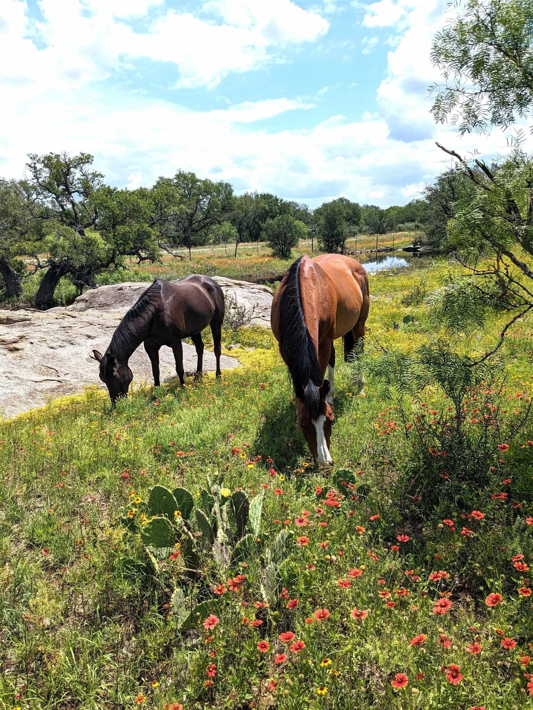 35 acres in Llano County featured view