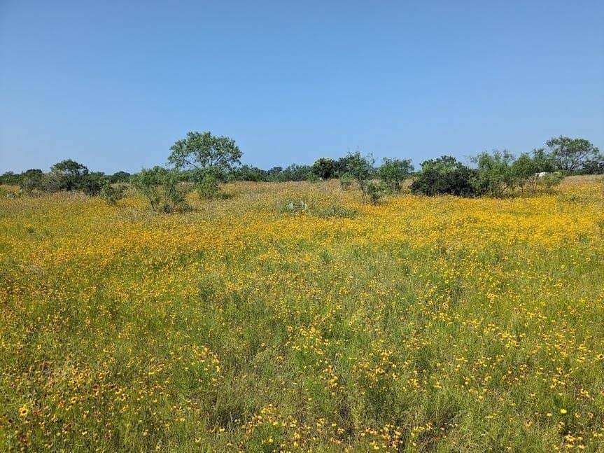 35 acres in Llano County - photo 7