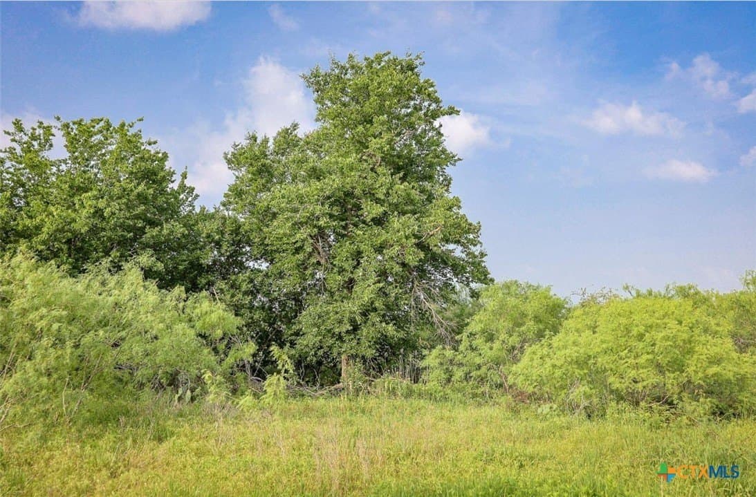 0.84 acres in Milam County gallery image 4