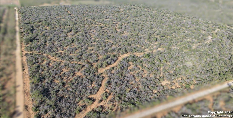 96.67 acres in Medina County gallery image 3