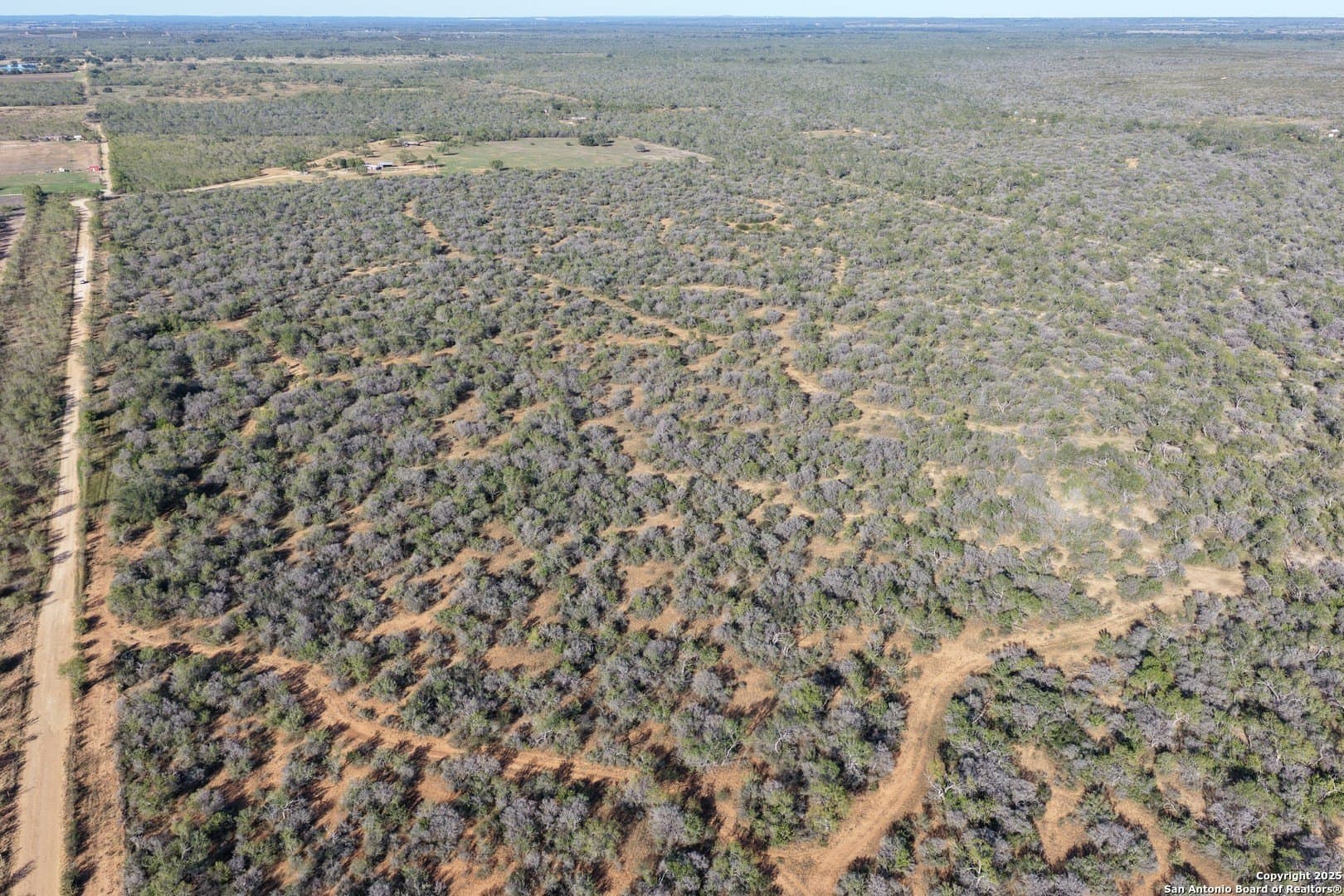 96.67 acres in Medina County gallery image 4