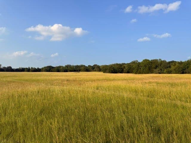 28 acres in Henderson County - photo 28