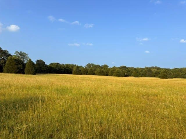 28 acres in Henderson County - photo 29