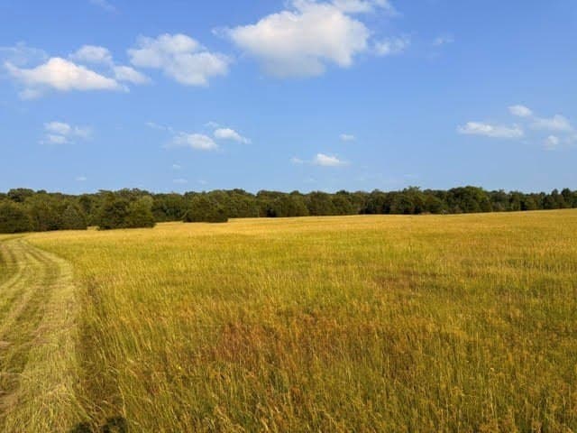 28 acres in Henderson County - photo 24