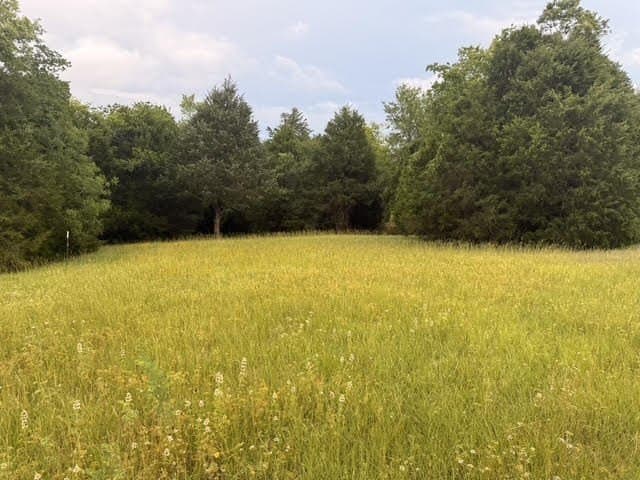 28 acres in Henderson County - photo 8