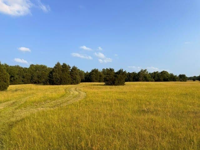 28 acres in Henderson County - photo 25