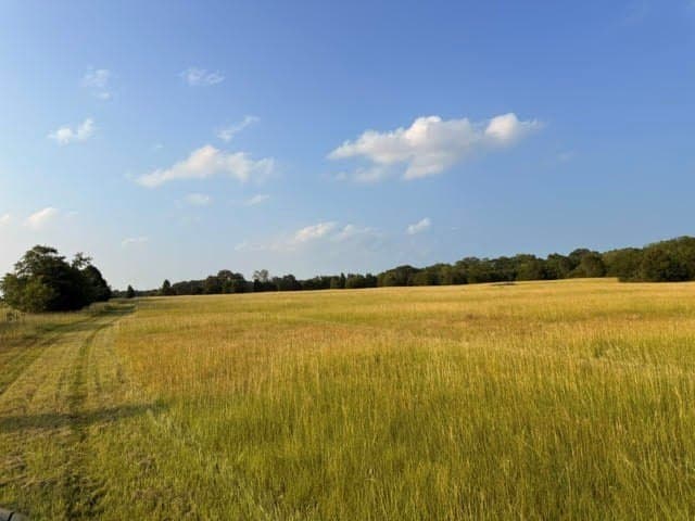 28 acres in Henderson County - photo 27